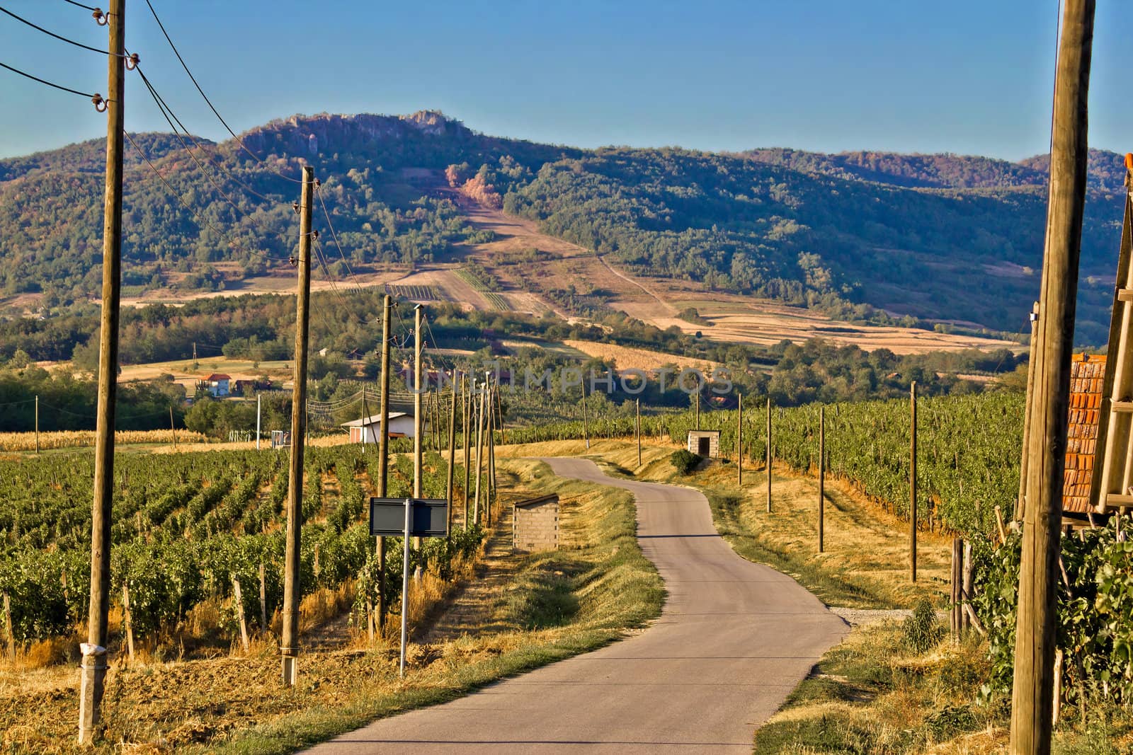 Mountain vineyard region scenic road, Kalnik, Croatia