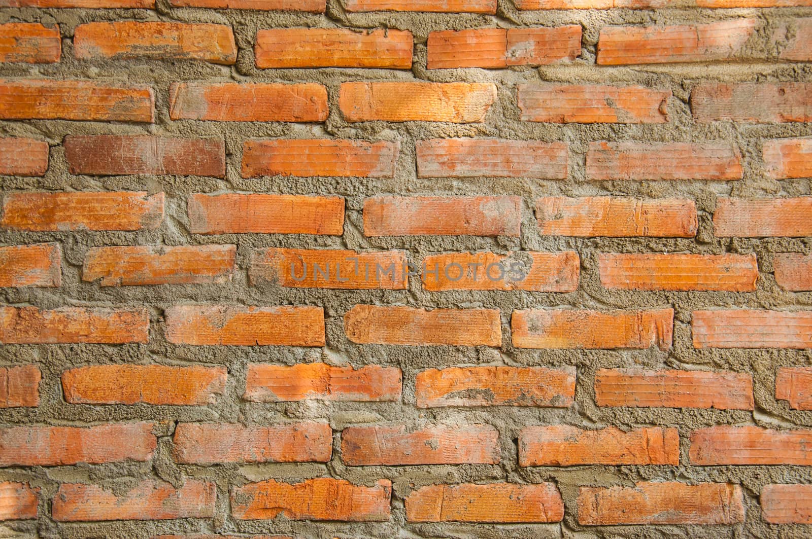 Brick wall for texture and background.