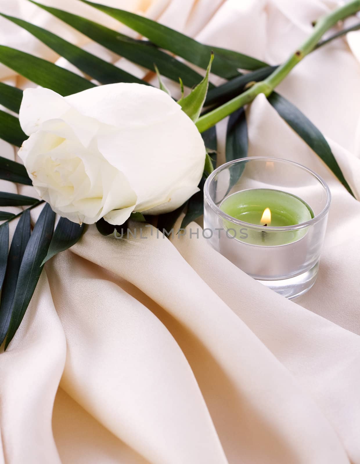 The white rose on a cream silk with a lighted candle
