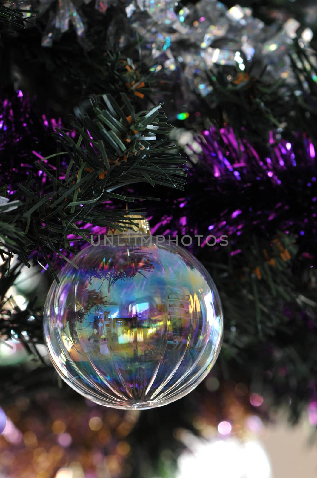 Transparent Christmas Ball in an artificial Pine