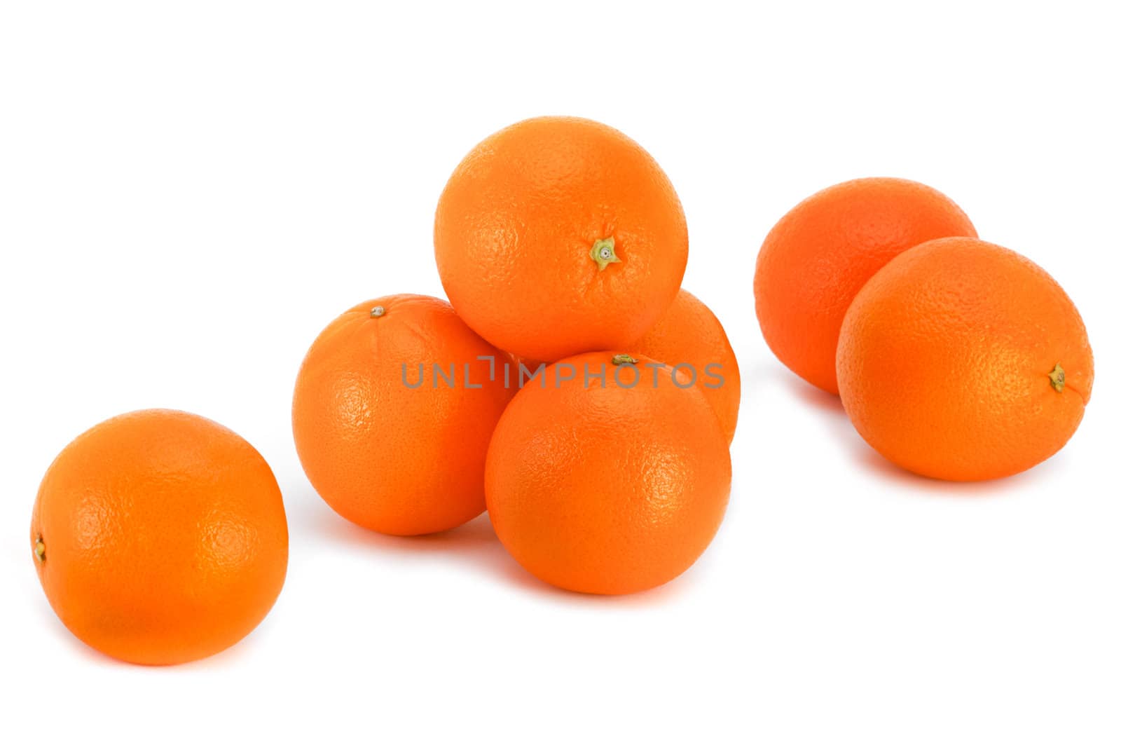 Oranges on a white background. by lobzik