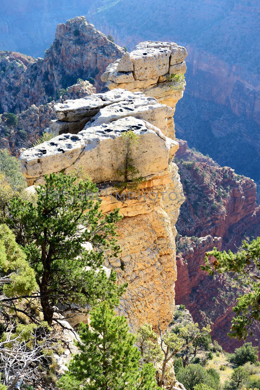 Geological detail, Grand Canyon National Park 