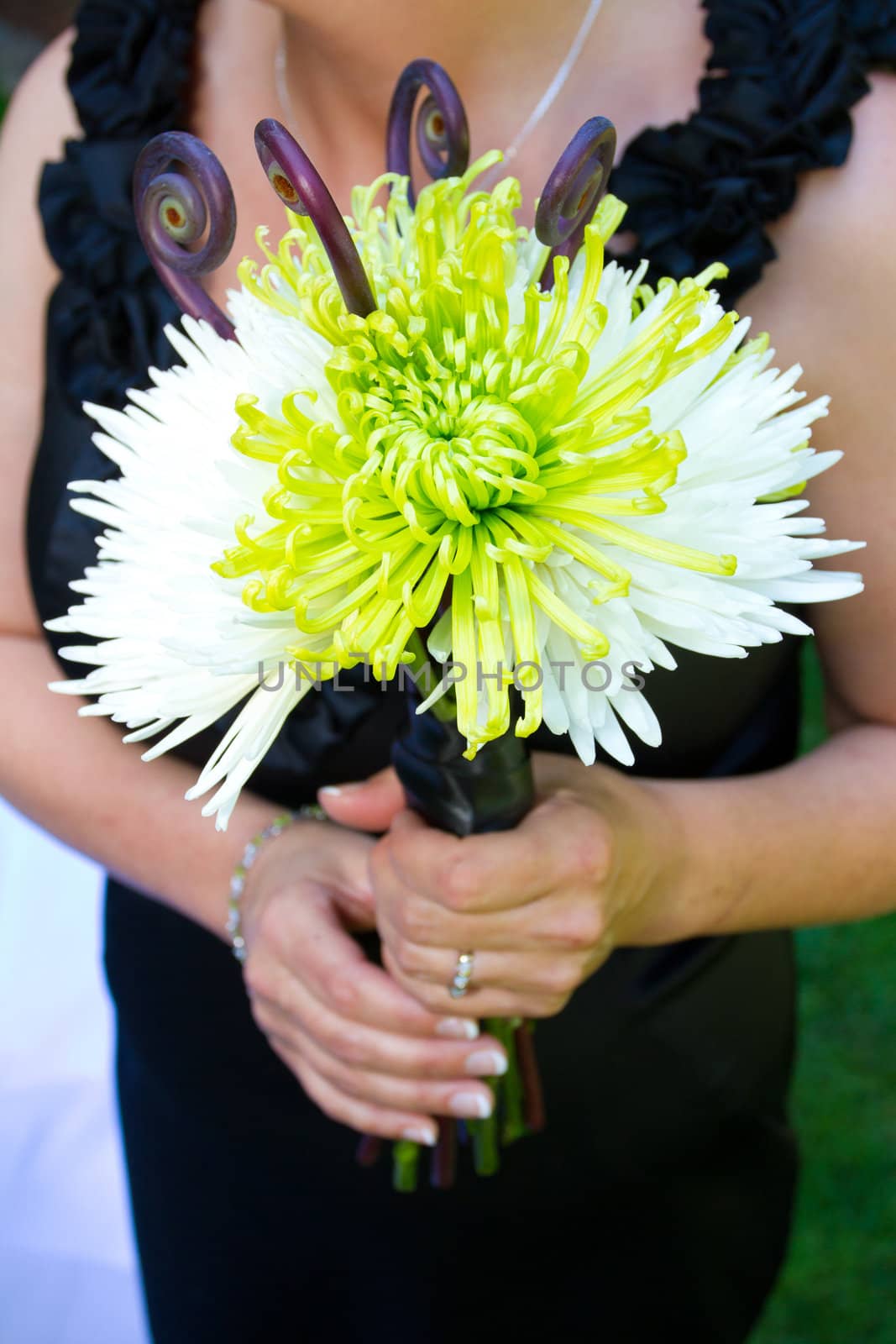 A bridesmaid holds her bouquet of beautiful flowers on a wedding day before the ceremony.