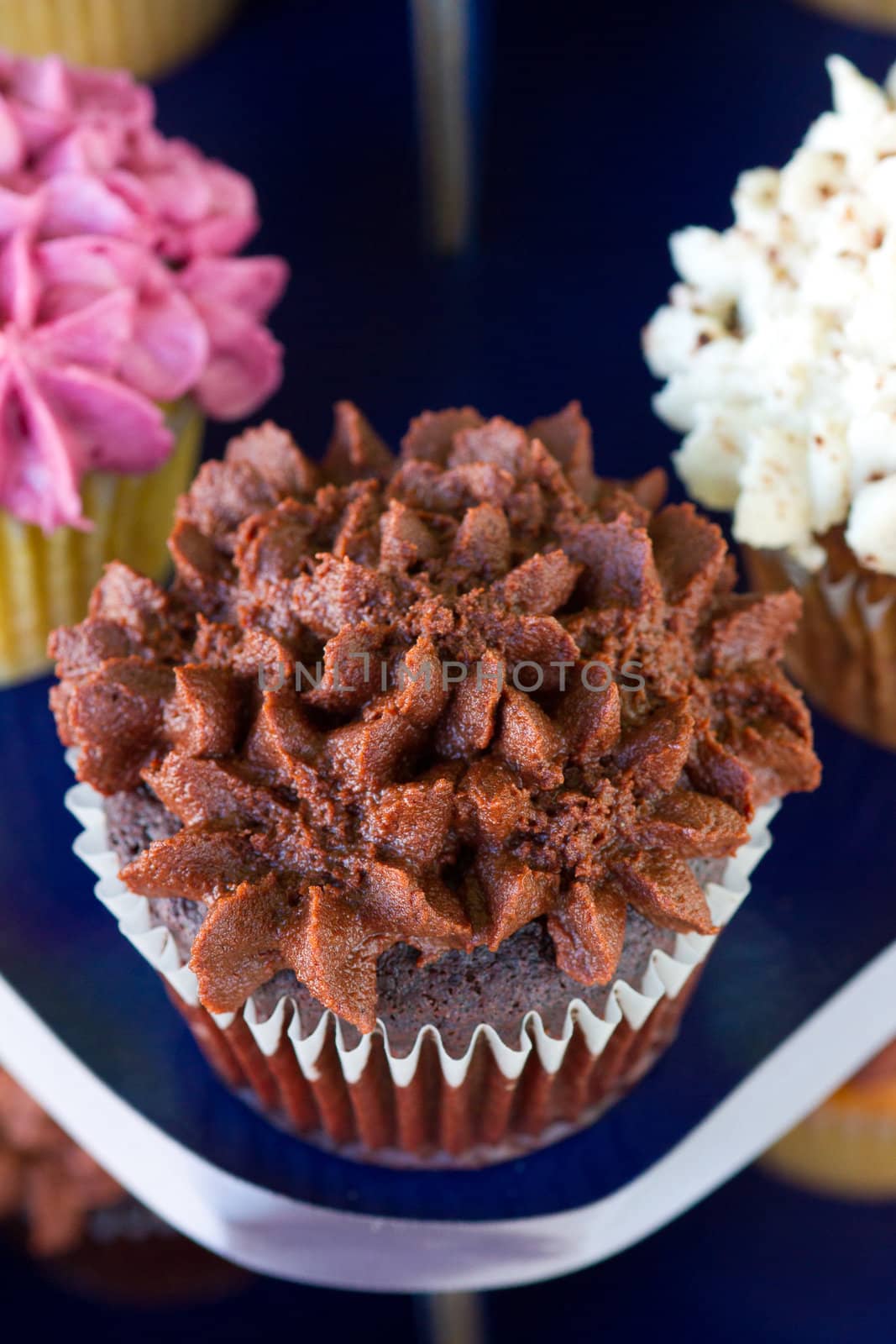 A variety of cupcakes from a dessert buffet at a wedding reception.