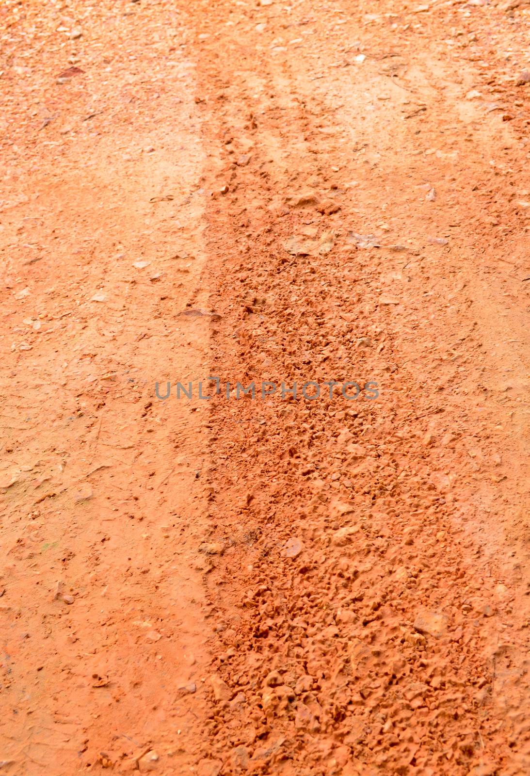 Wheel tracks on dirt road