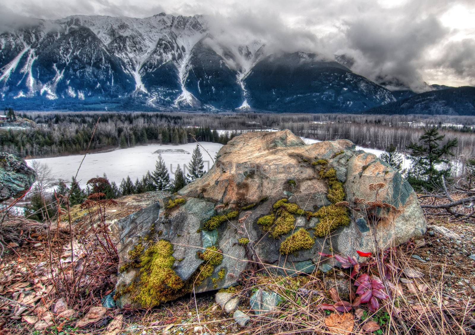 Large rock with colorful moss in front of snowy mountains