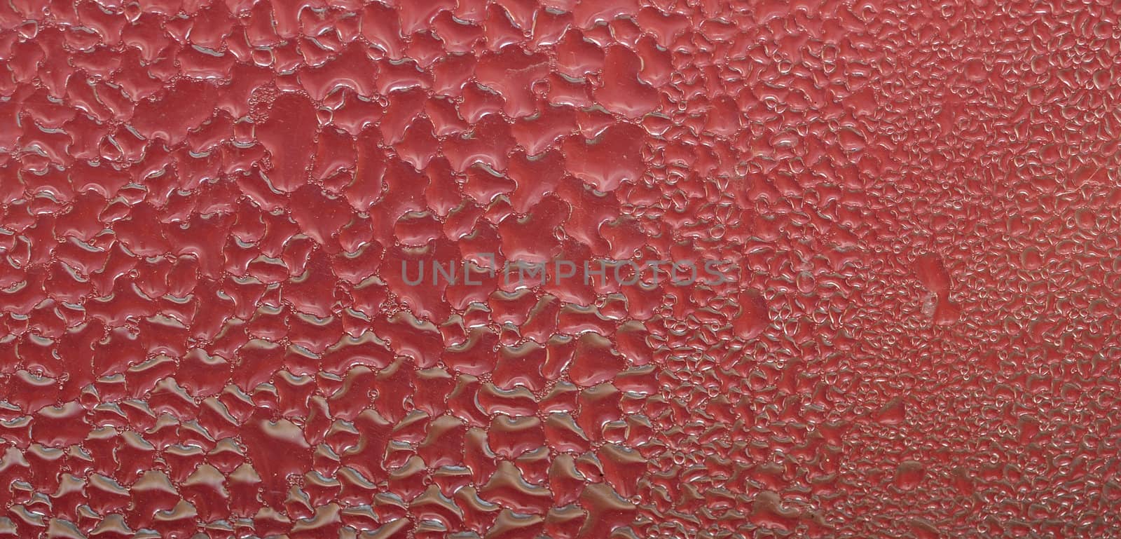 Water drops on abstract red surface.