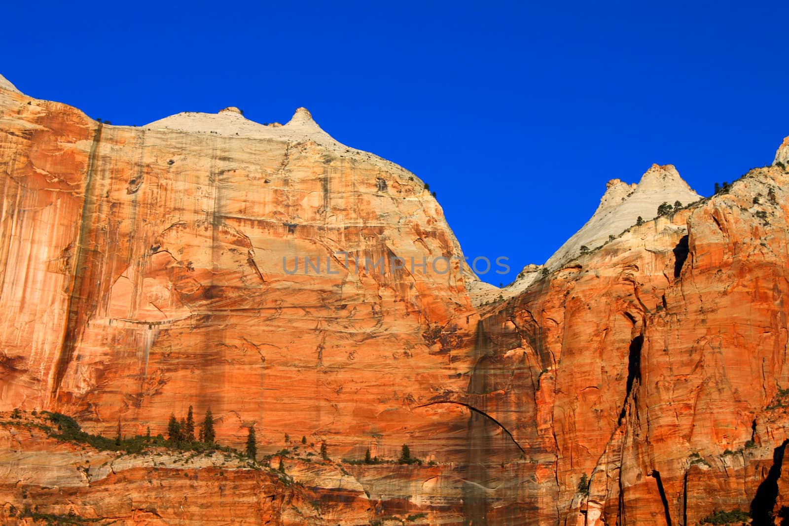 Vertical cliffs of red rock at Zion National Park of Utah.