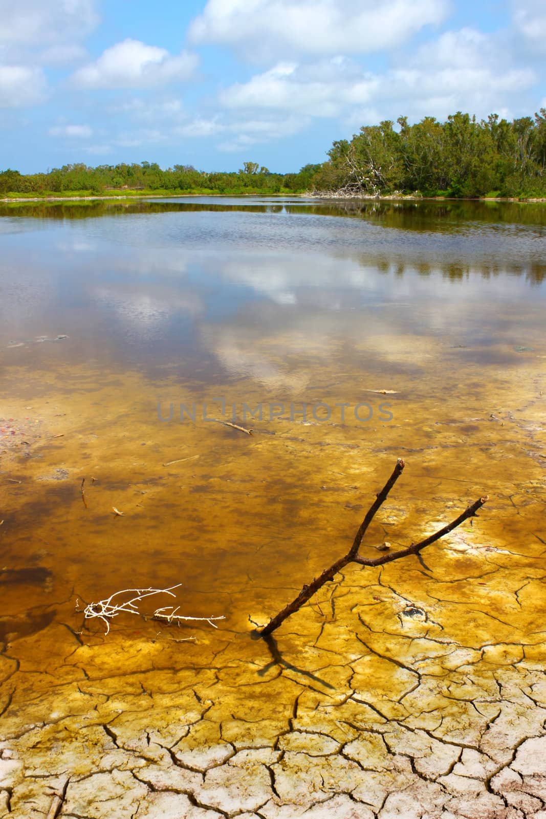 Everglades National Park Eco Pond by Wirepec