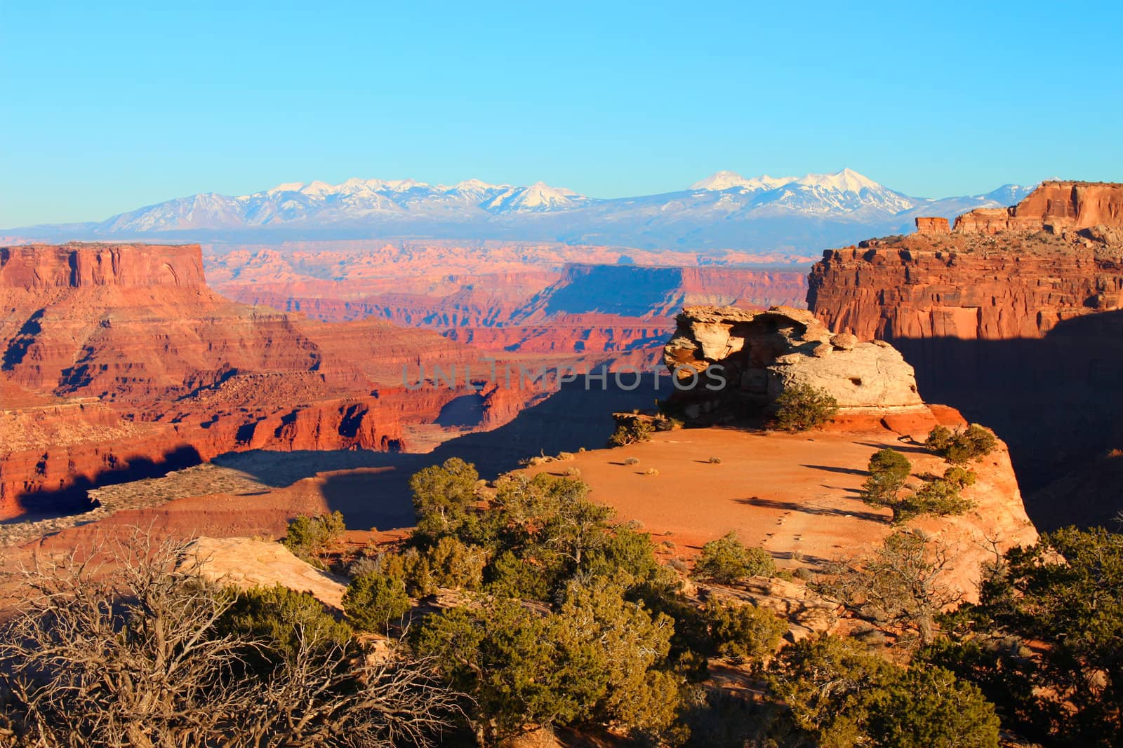 Shafer Canyon Overlook under evening light in Canyonlands National Park.