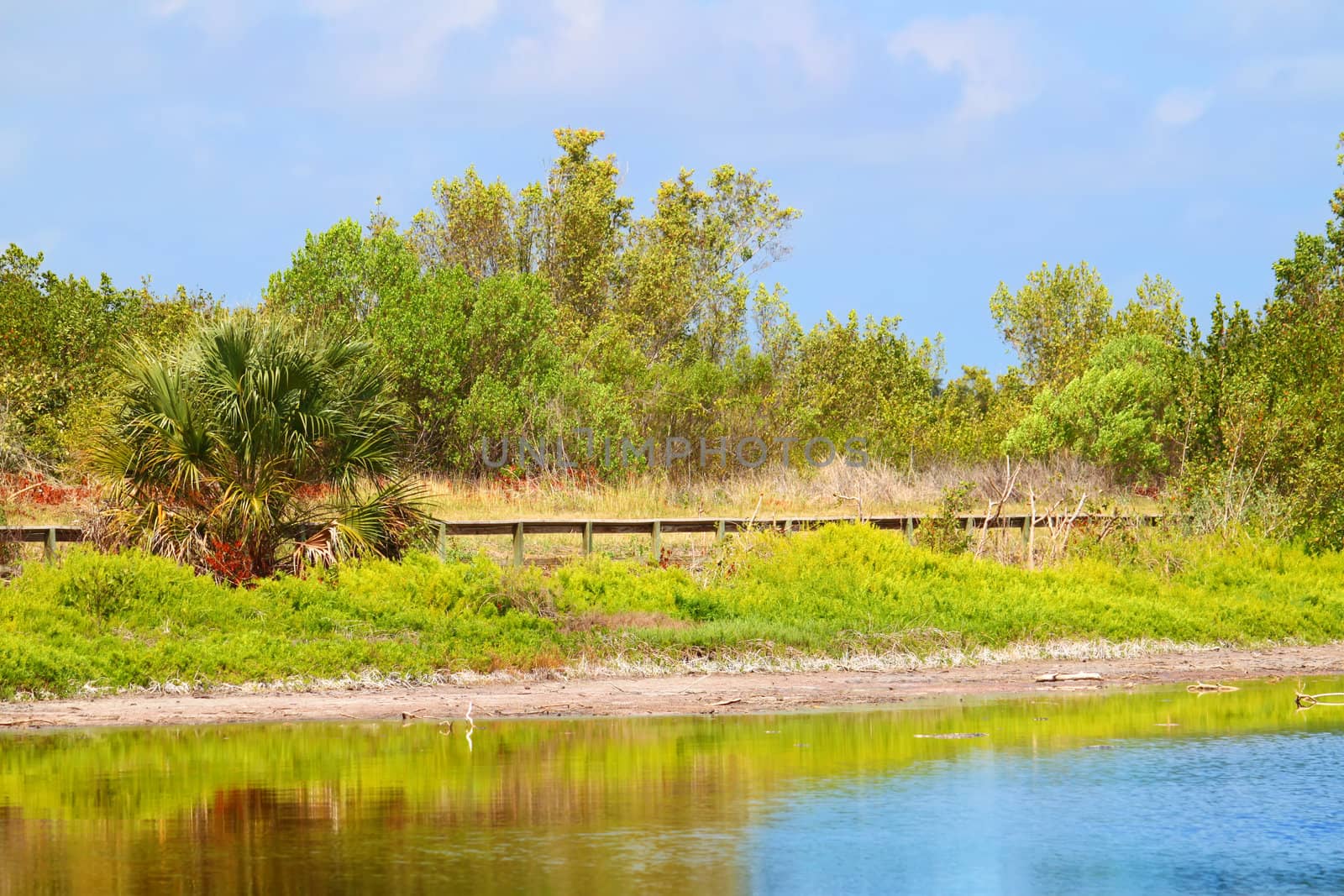 Beautiful sunny day at the Eco Pond of Everglades National Park in Florida.