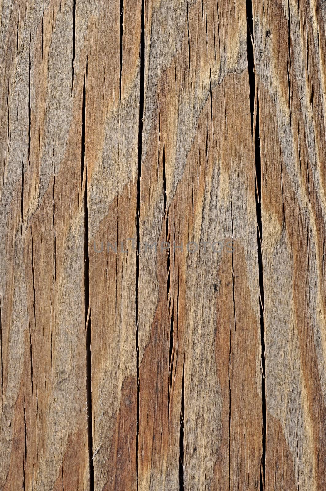 very old wood background 