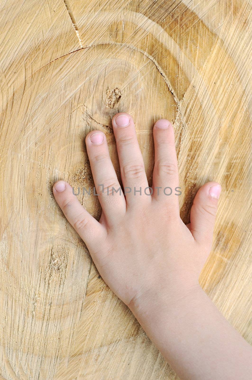 Children's hand is located on an old stump