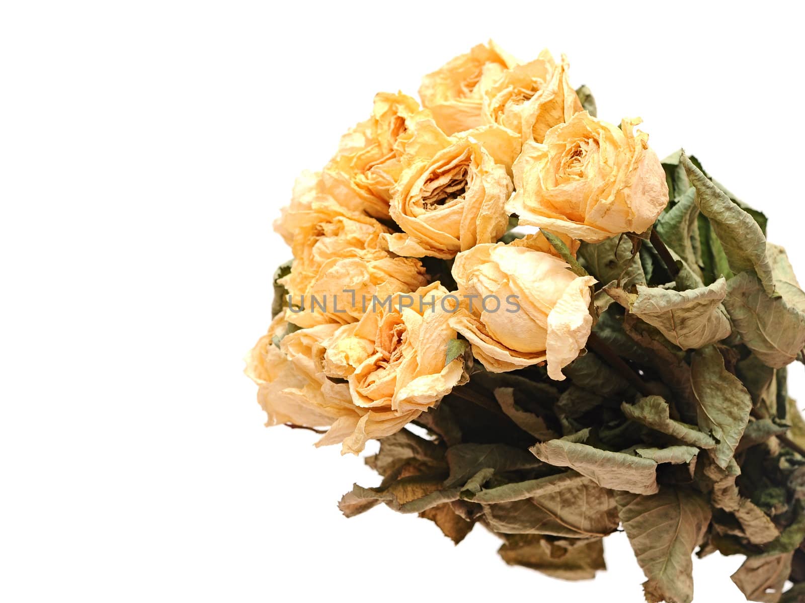 Withered rose bouquet 