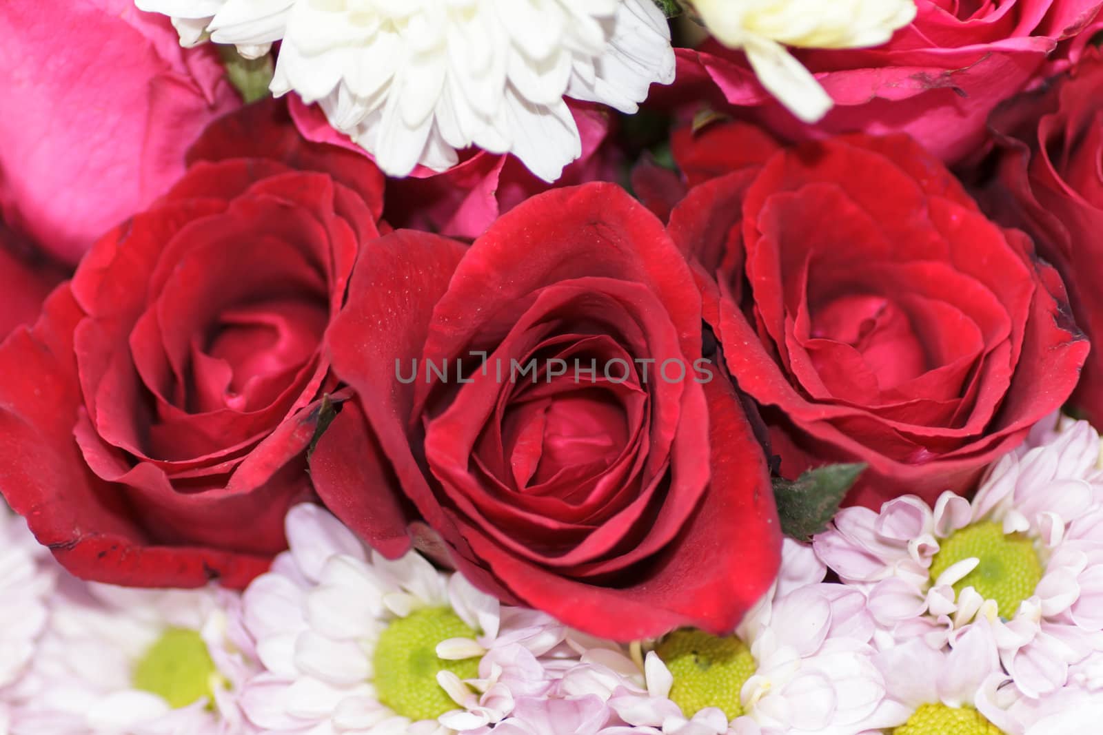 beautiful bouquet of rose and bright flowers