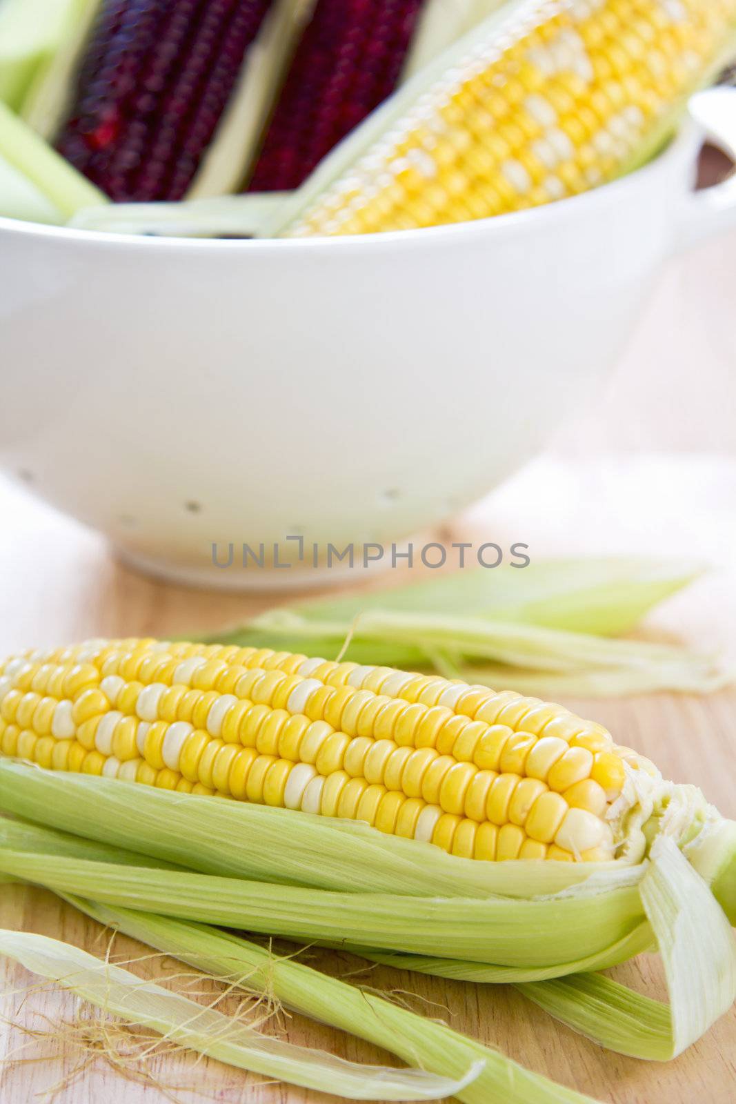 Fresh yellow and purple corn