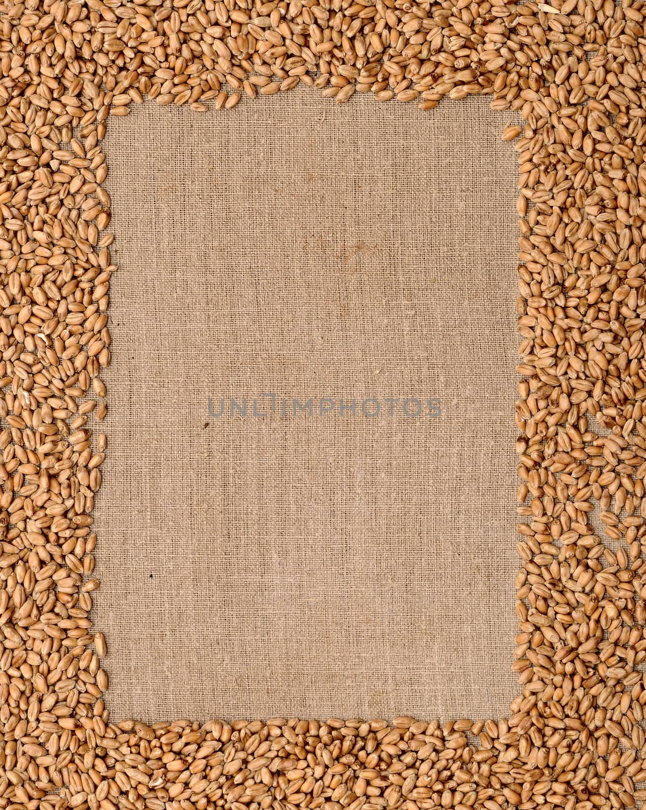Wheat ears on rough sack material by inxti
