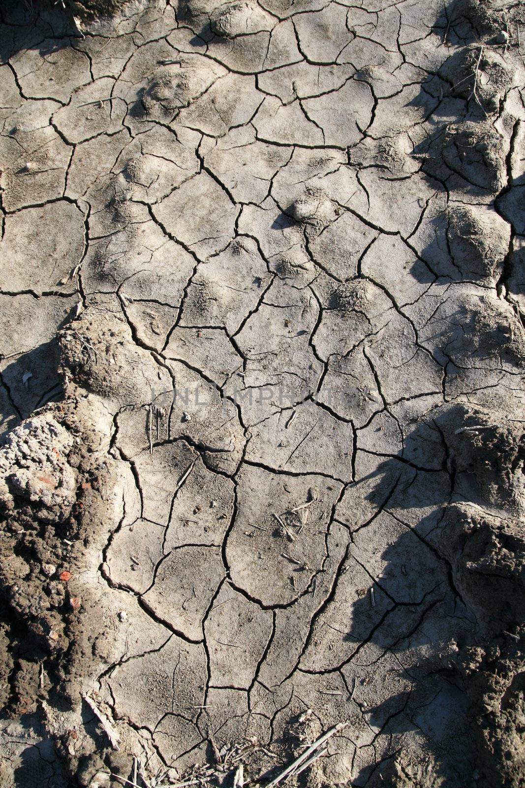 Cracked earth background disaster texture