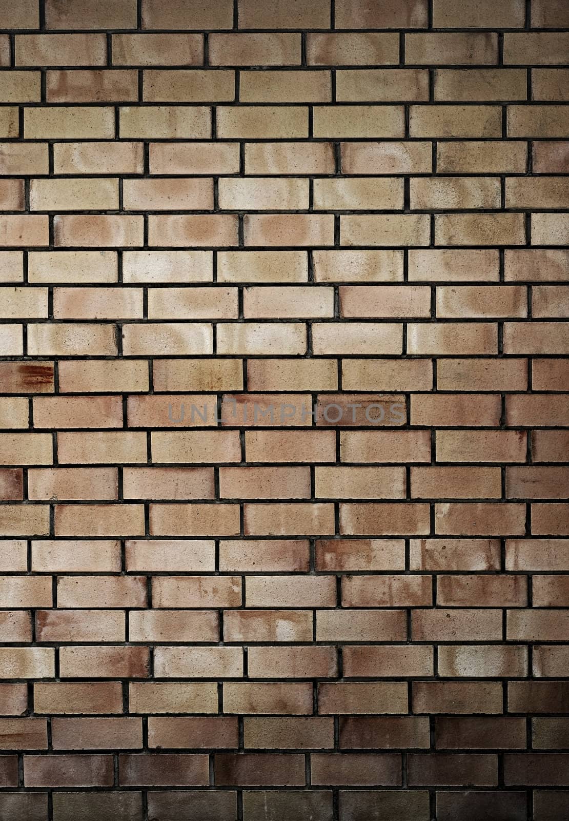 old brick wall background