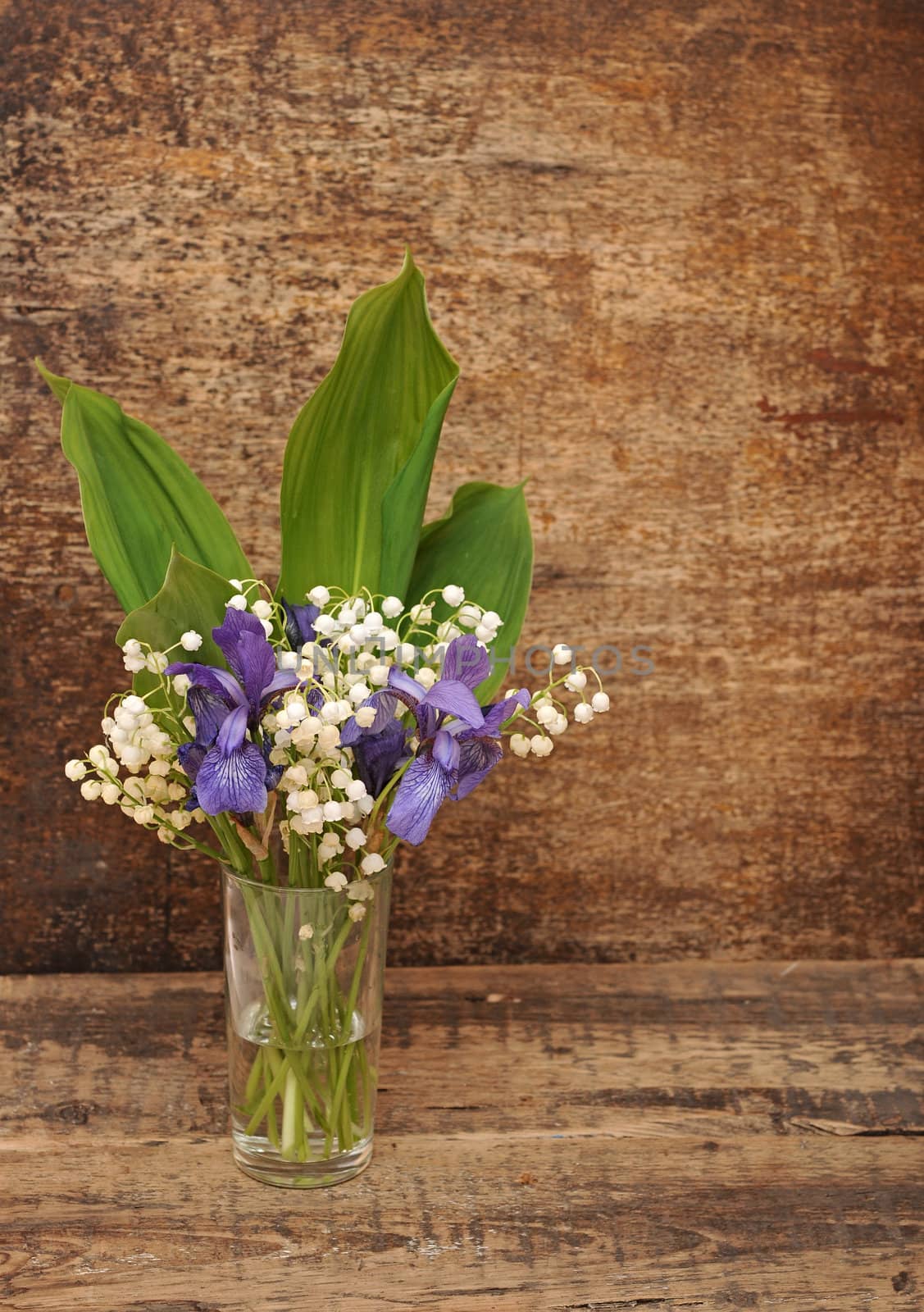 Still-life bouquet of lily of the valley  with blue irises