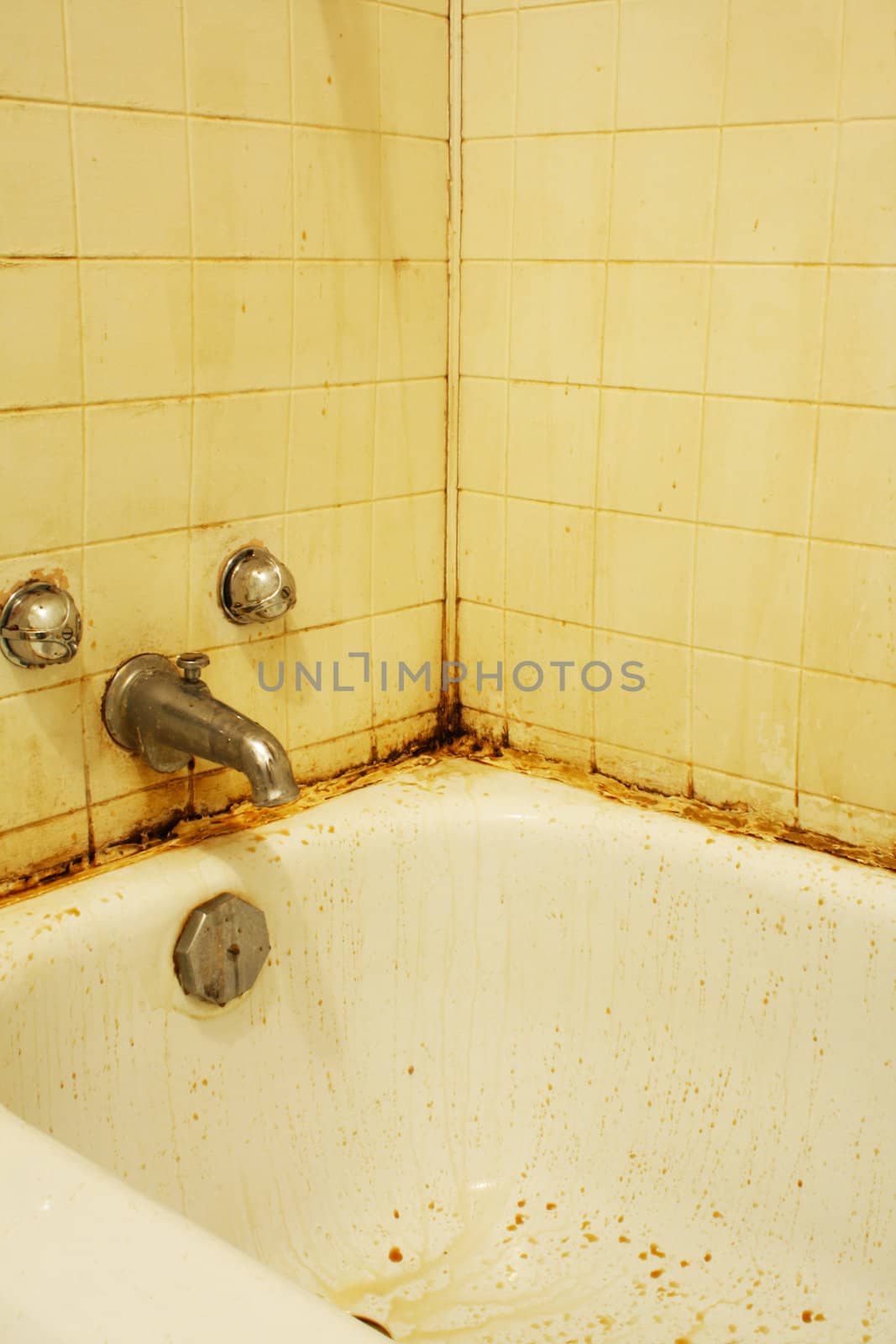 A filthy bathtub with mold and stains and dirty water. Concept for poverty or renovation/repair