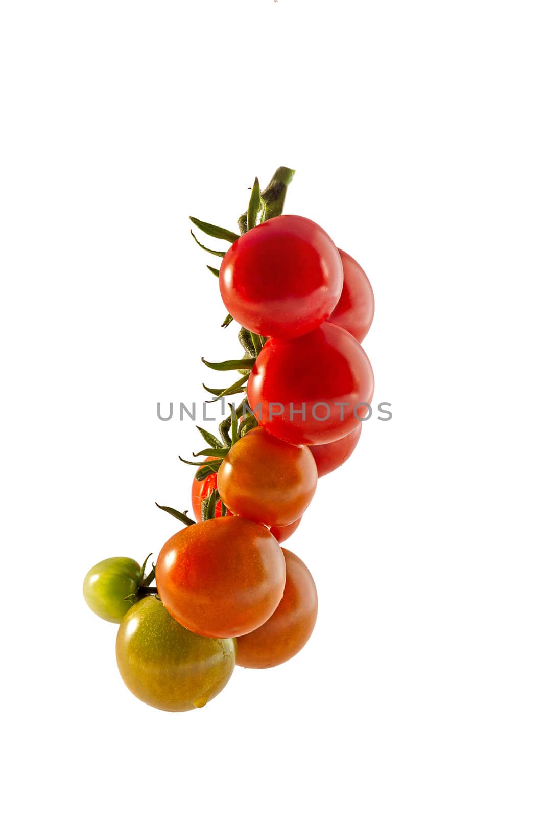 Cherry tomatoes close-up, isolated on white background.