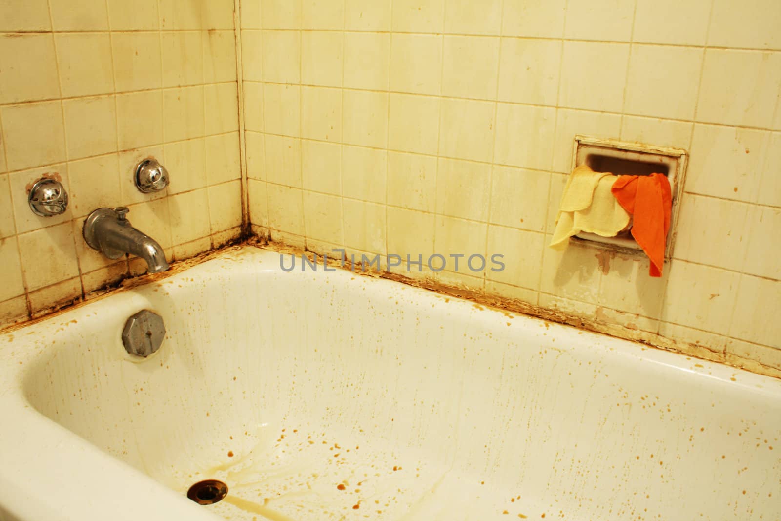 A filthy bathtub with mold and stains and dirty water. Concept for poverty or renovation/repair