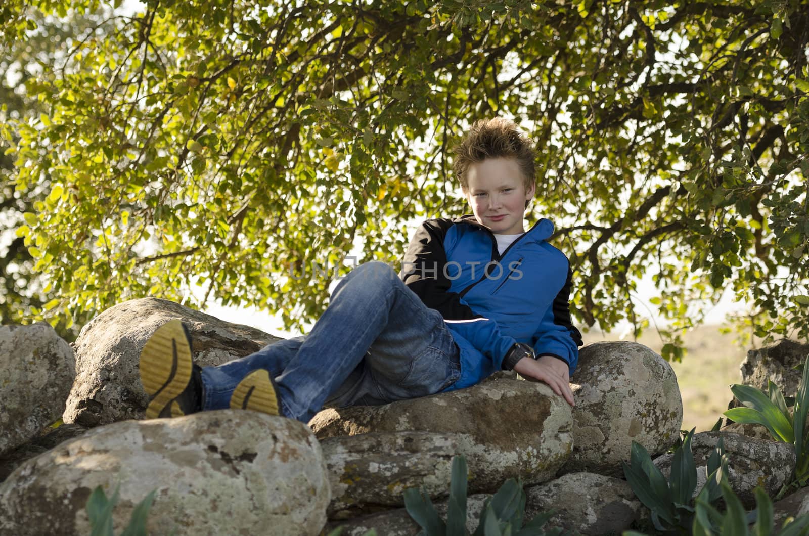 Guy resting in nature on a rock under a tree