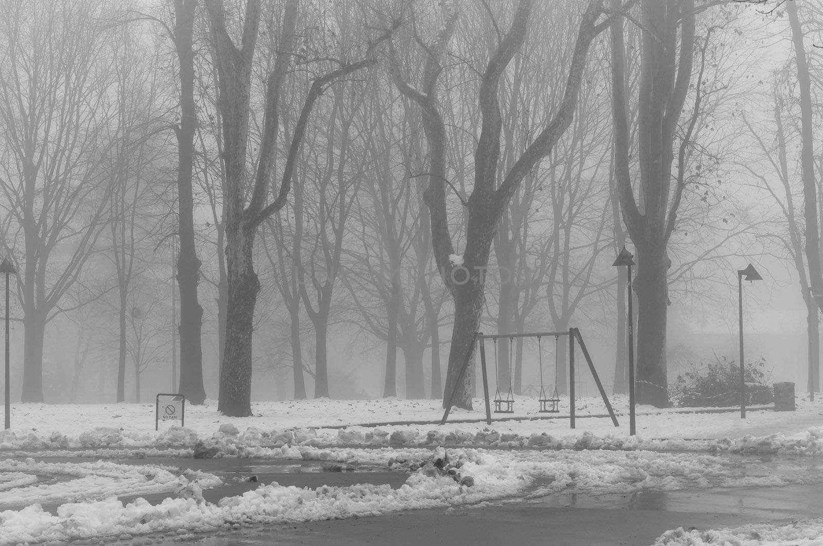 foggy winter landscape with snow