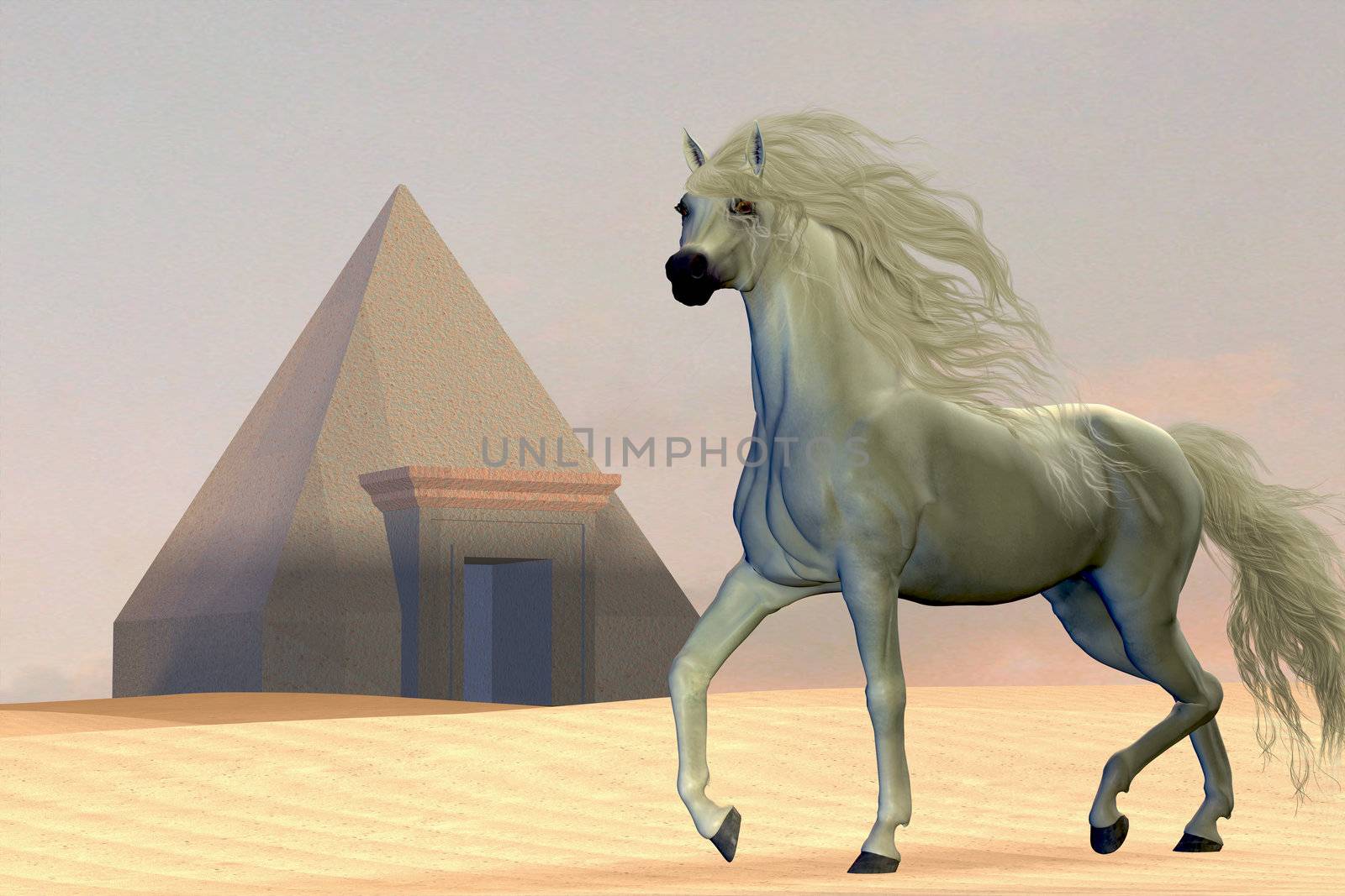 Arabian Horse by Catmando