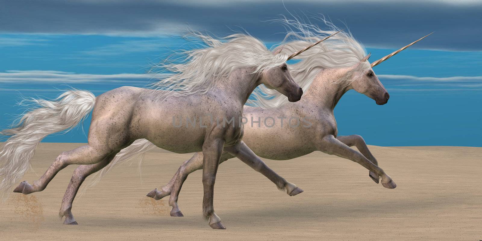 Two white unicorn horses gallop together in the desert. 