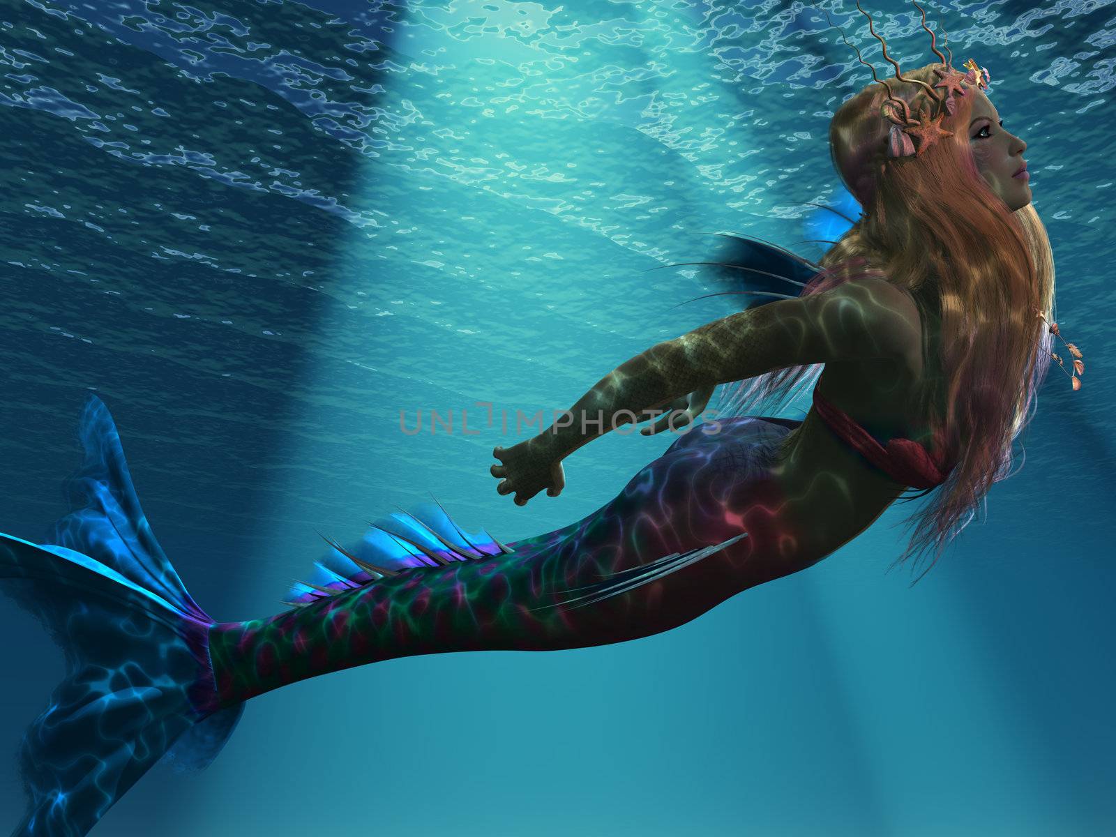 Mermaid of the Sea by Catmando
