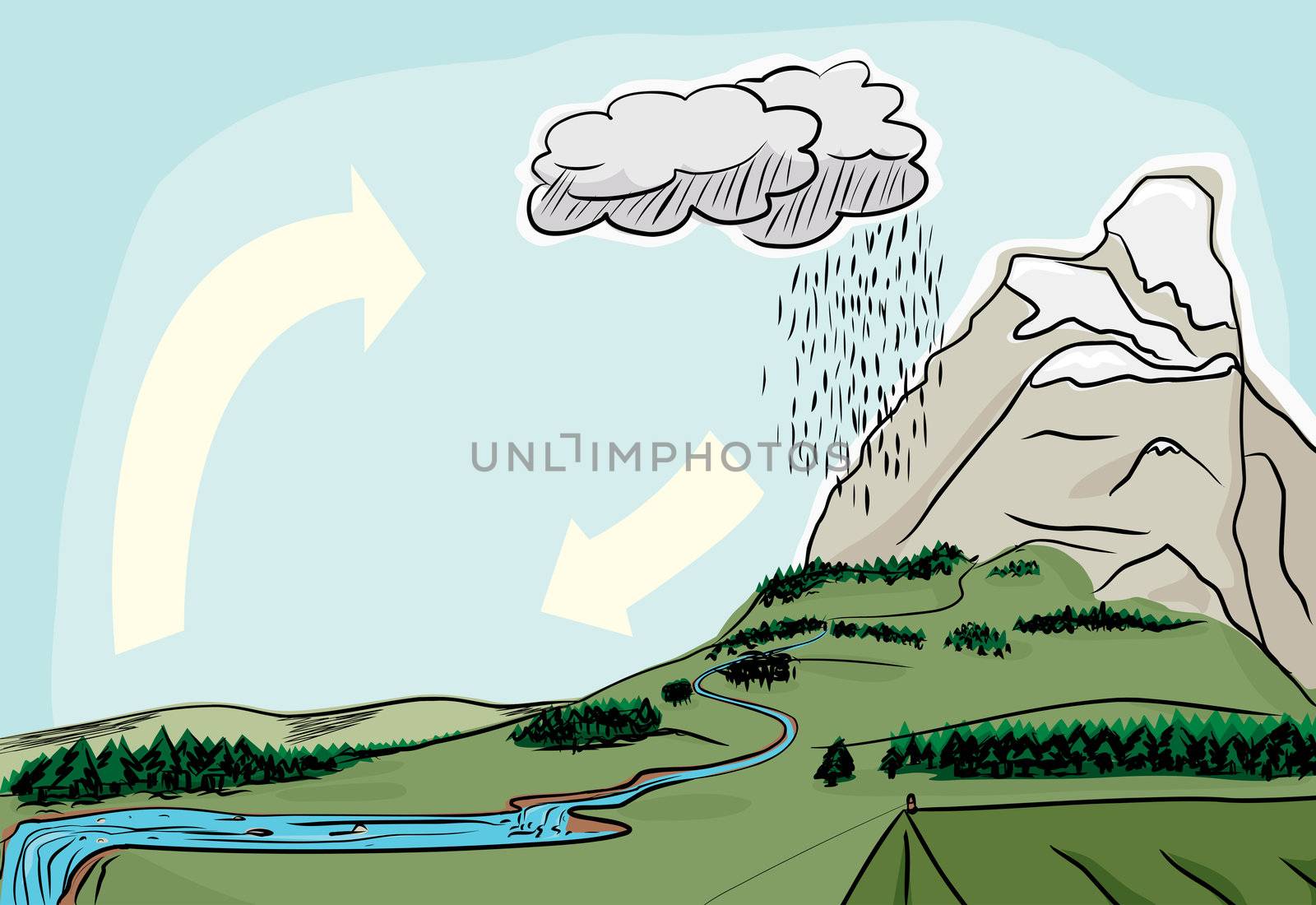 Water cycle in the wilderness illustrated diagram