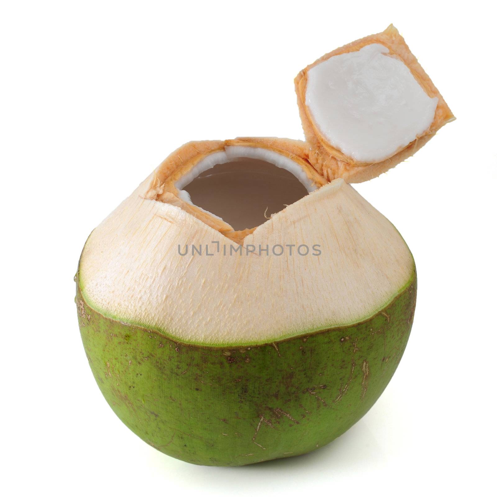 Coconut by antpkr