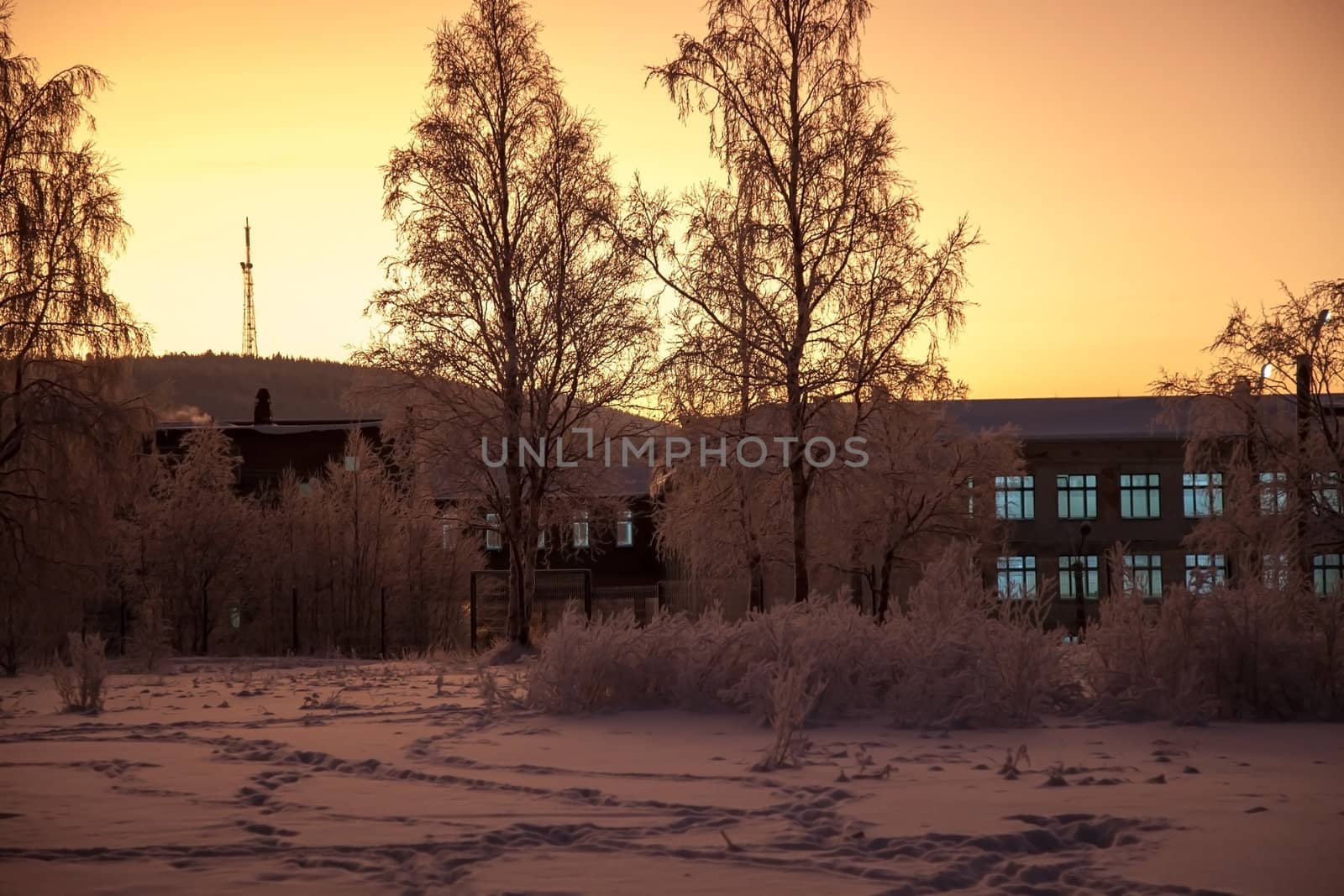 Polar night. December 22. Russia. Kandalaksha