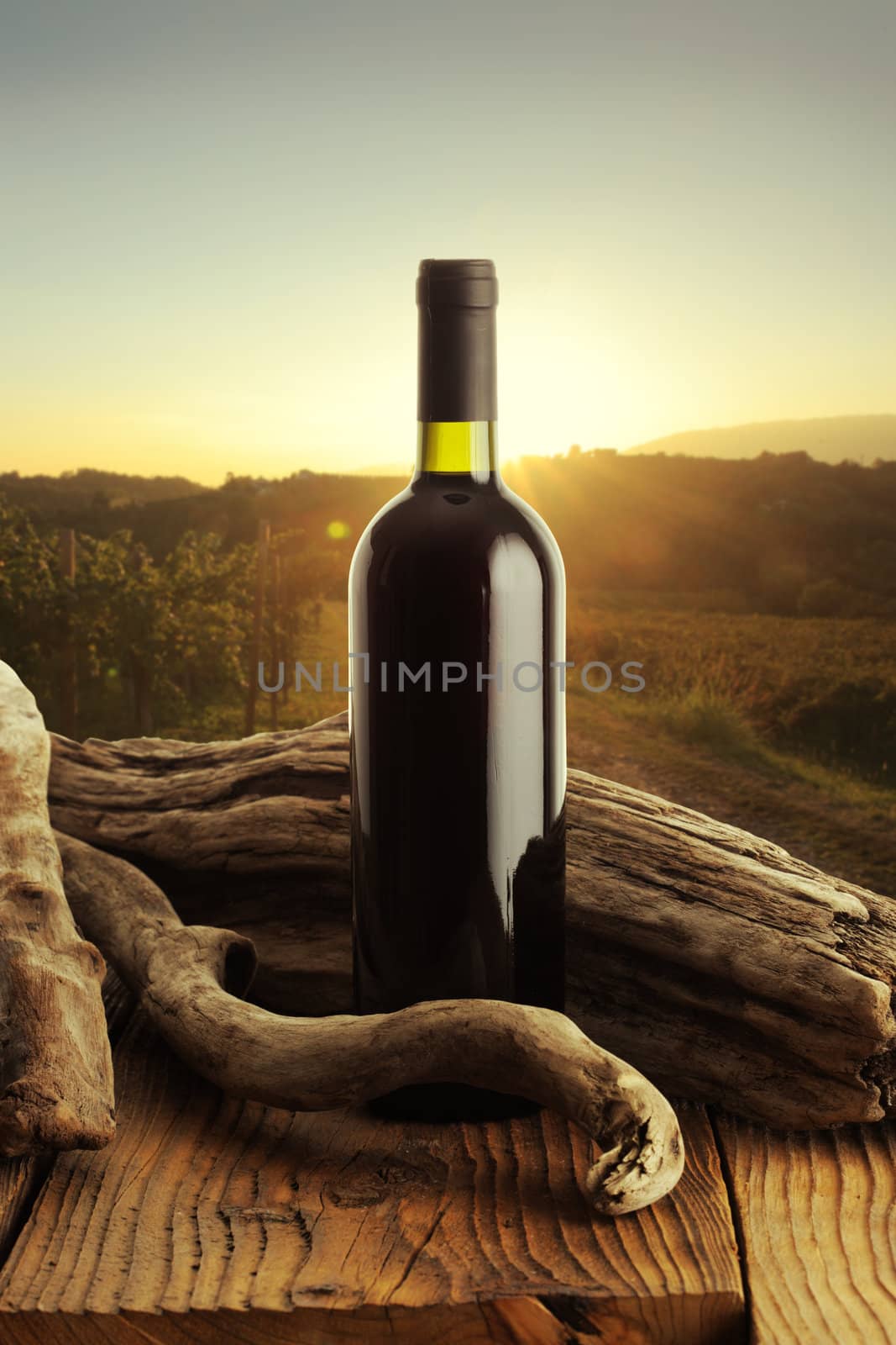 Red wine bottle and old wood, vineyard on background