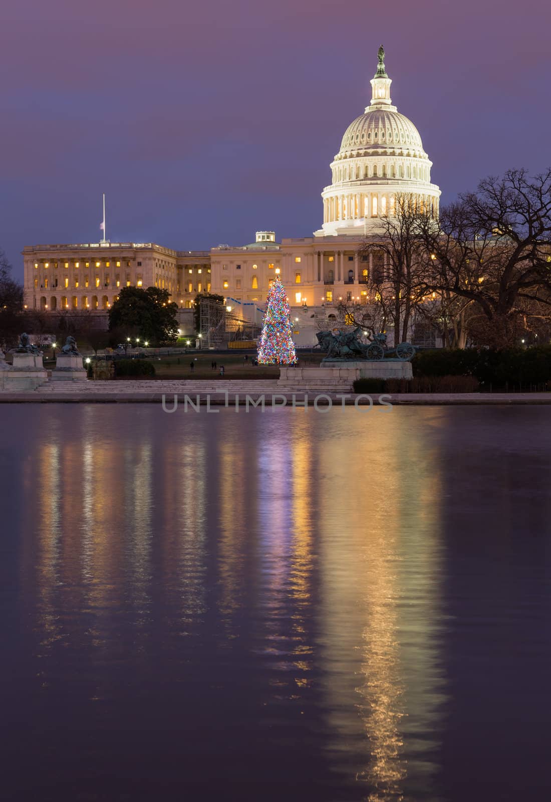 Christmas tree in early evening as sun setting over Washington DC