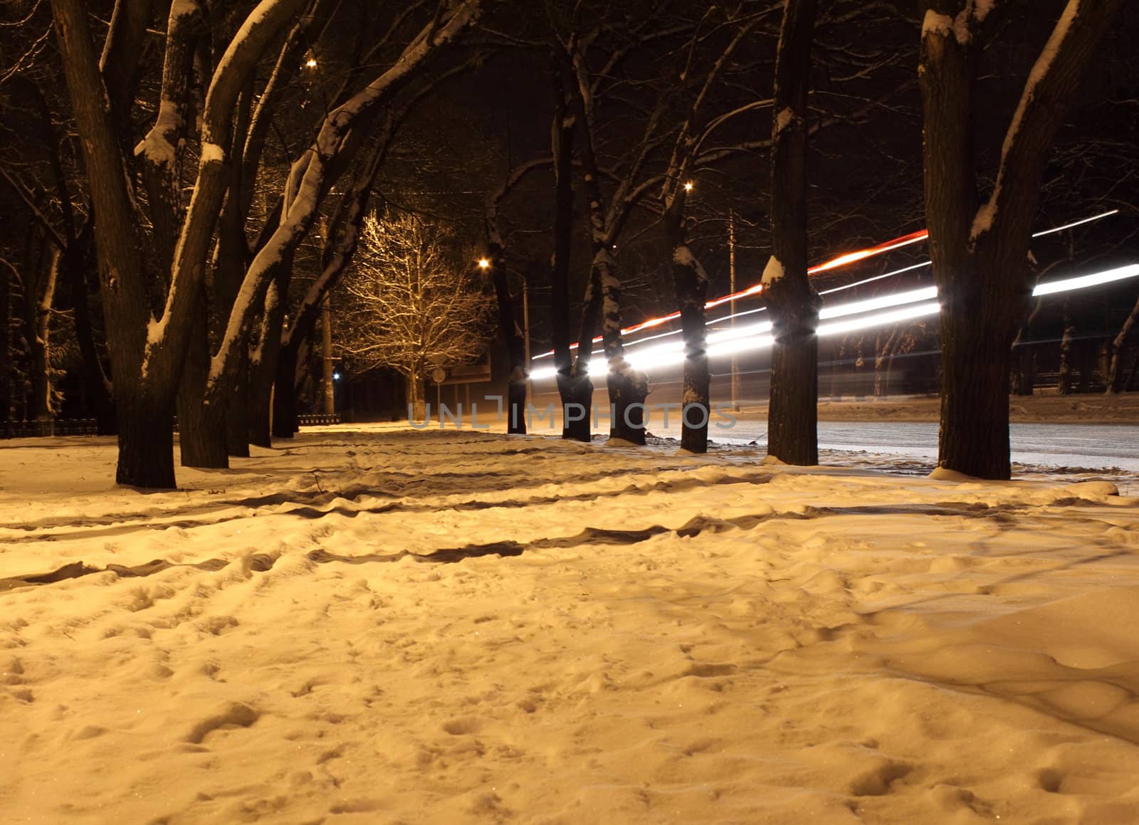 avenue at winter night