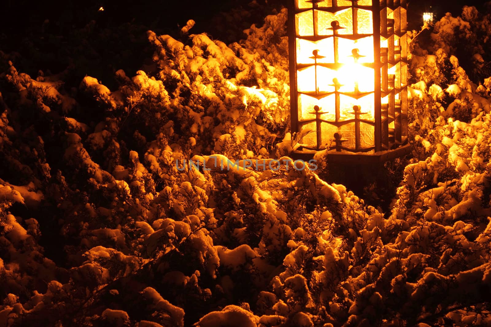 street lantern in park at winter night