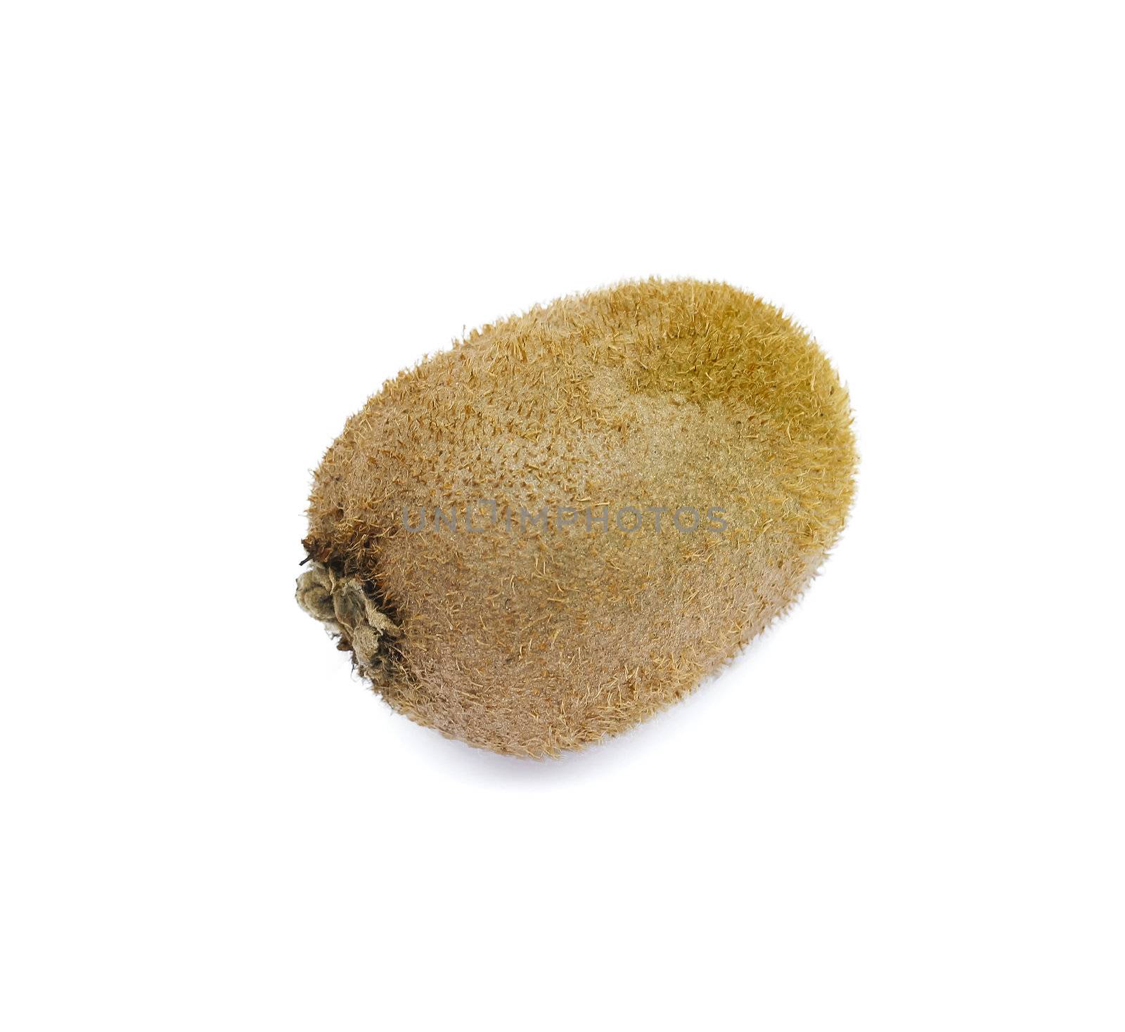 One kiwi fruit on a white background