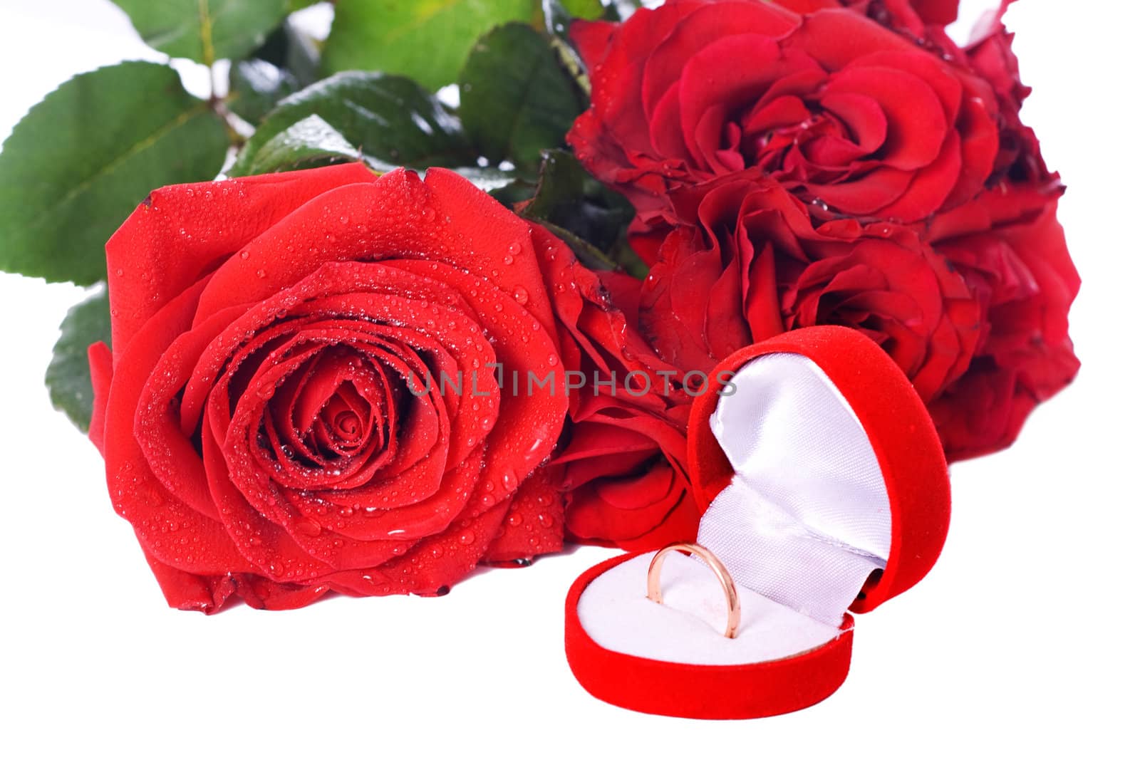 Ring in the package, and a red rose isolated on white background
