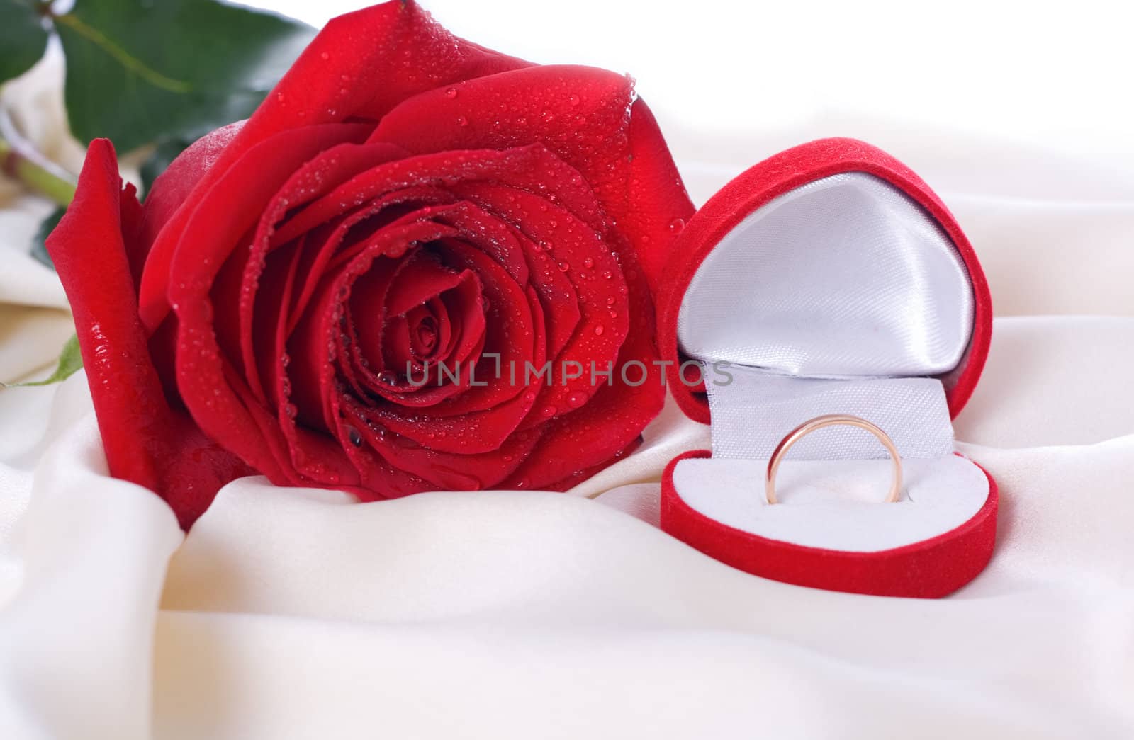Red Rose and a wedding ring in a box on a gentle silk