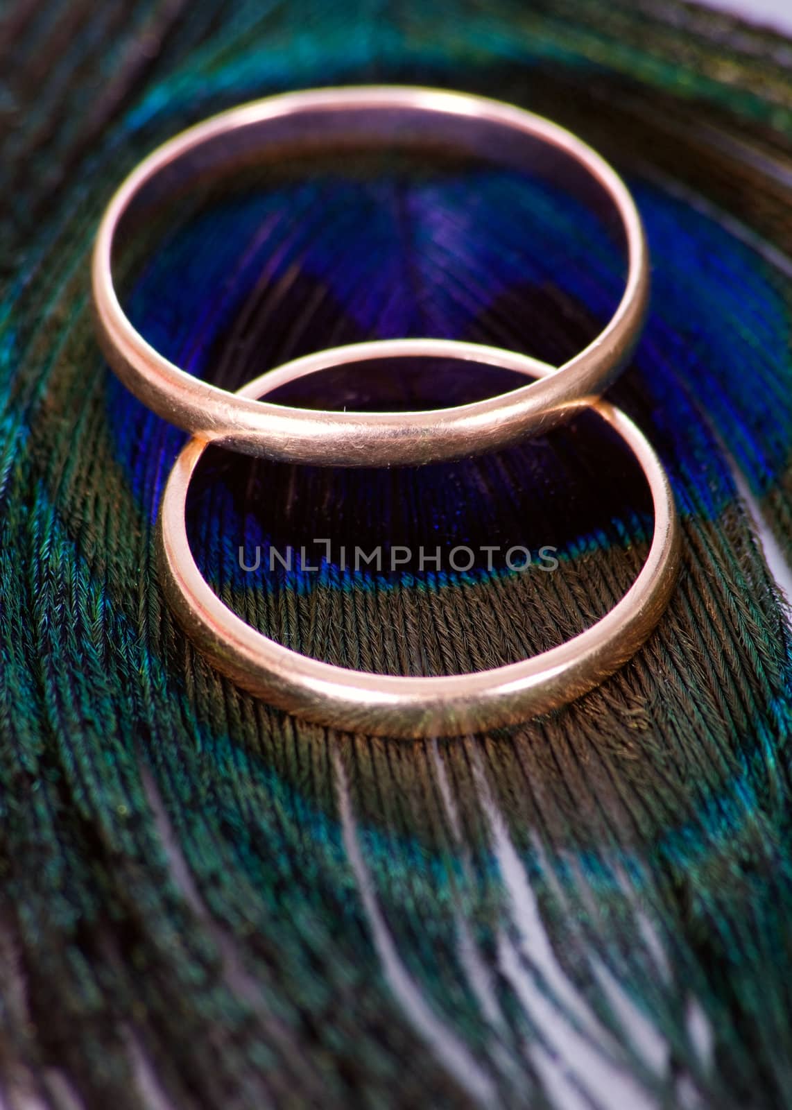 Wedding rings on the peacock transition