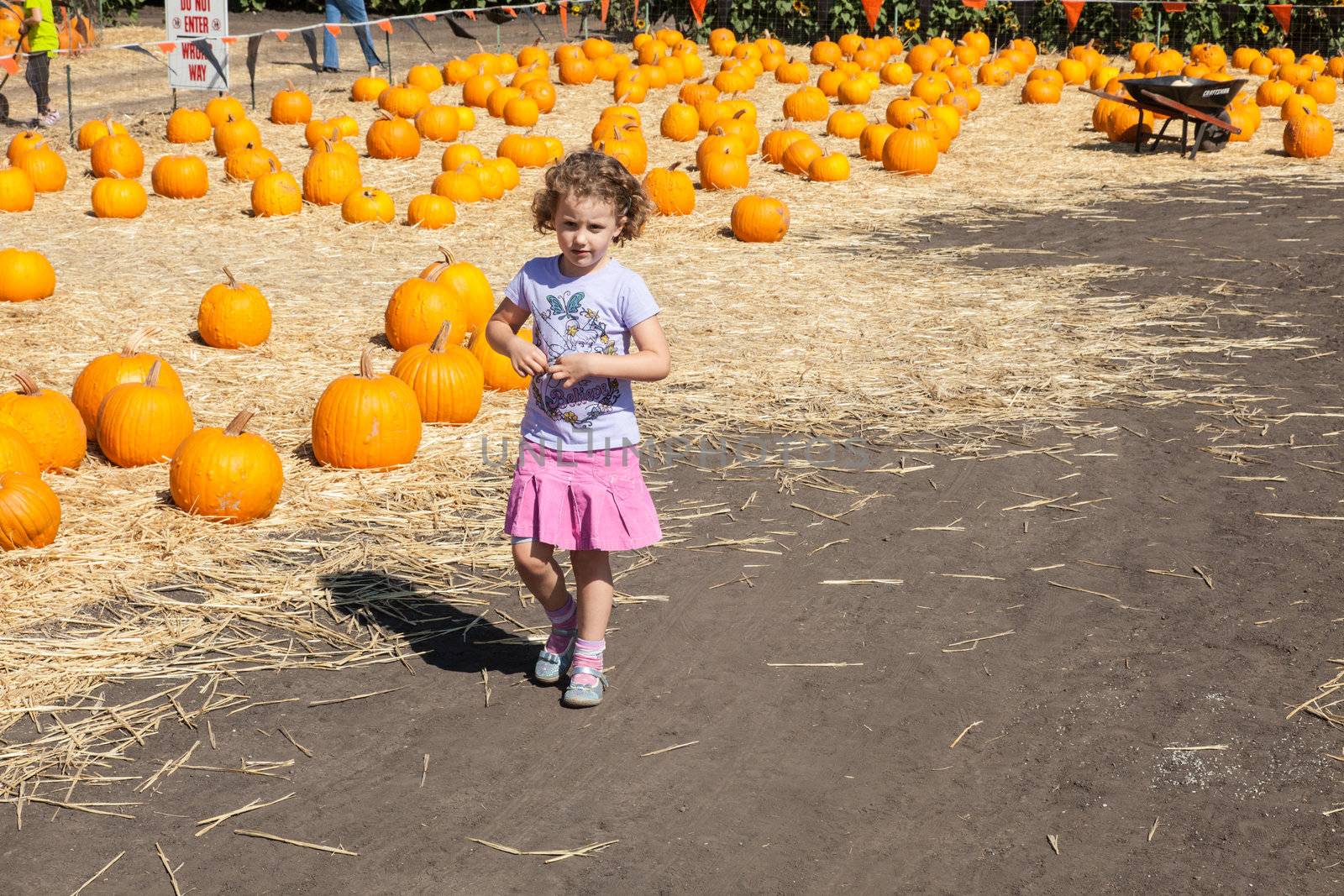 Having fun on pumpkin patch on sunny Saturday morning.