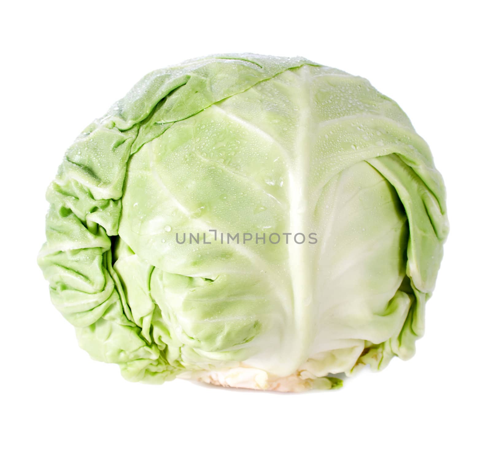 Green cabbage isolated on white background