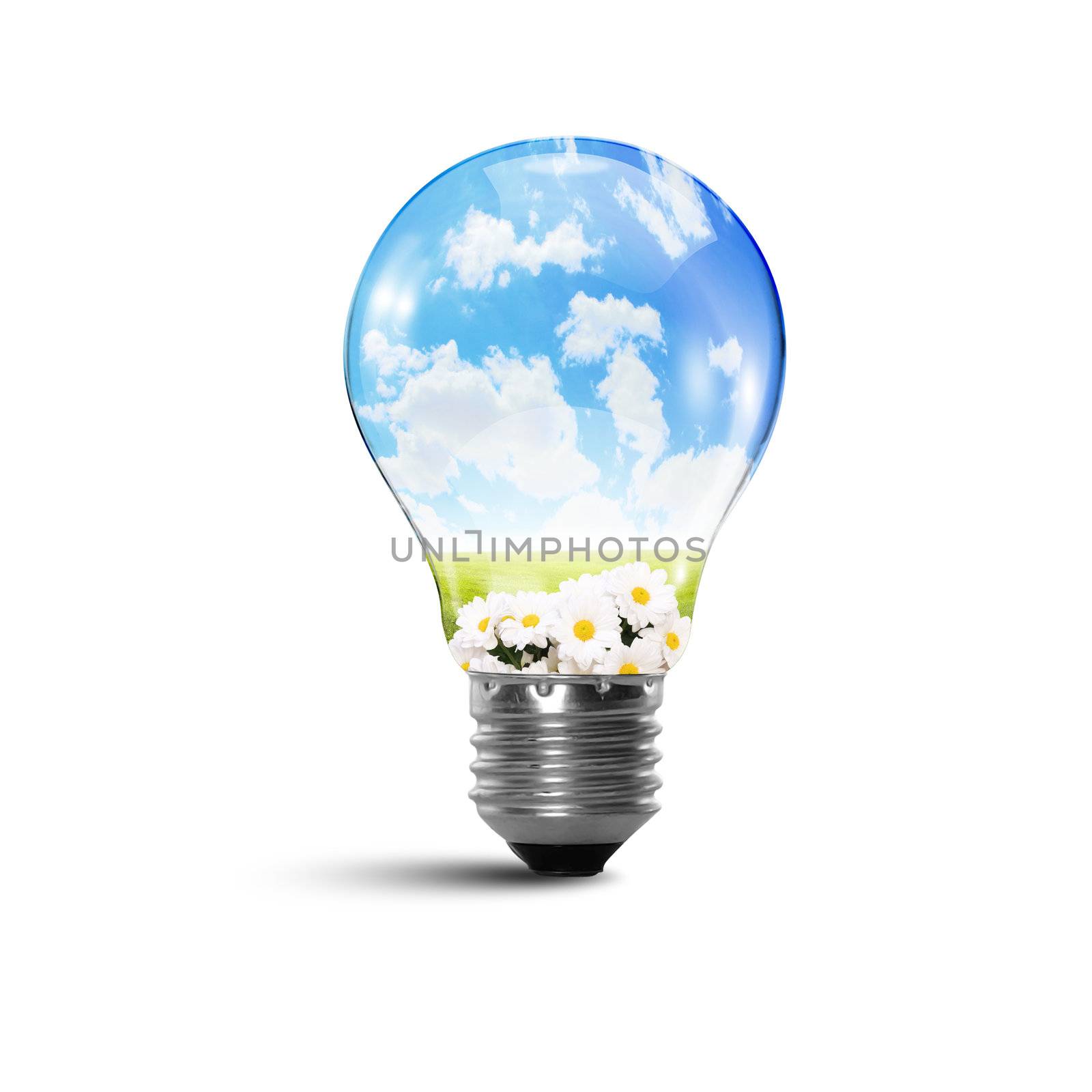 Illustration of an electric light bulb with clean and safe nature inside it Conceptual illustration