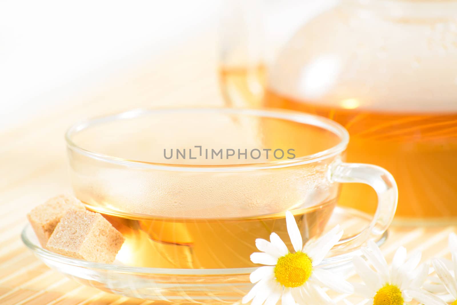 teacup with herbal chamomile tea by adam121