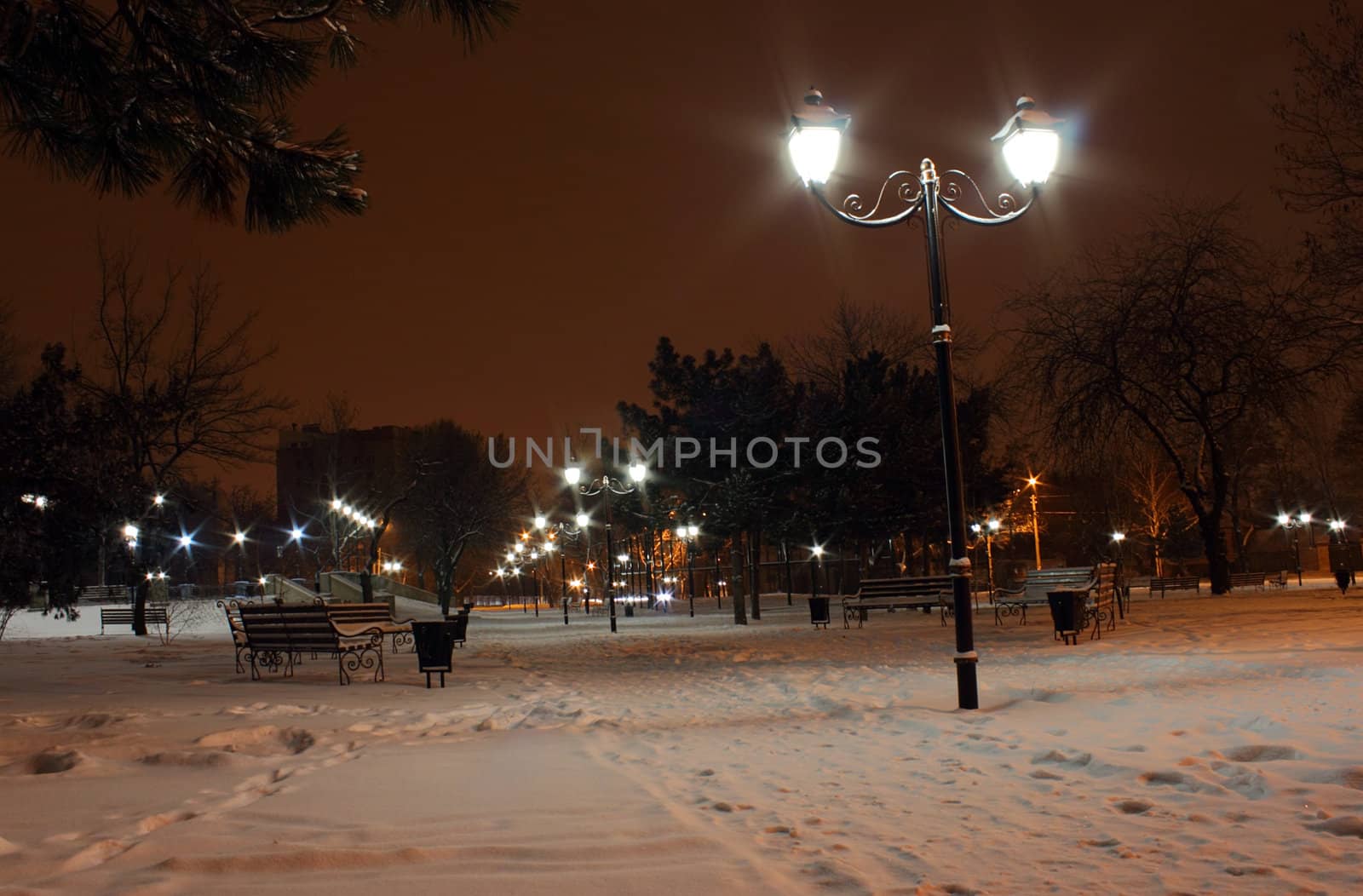 street lanterns in a park at winter night