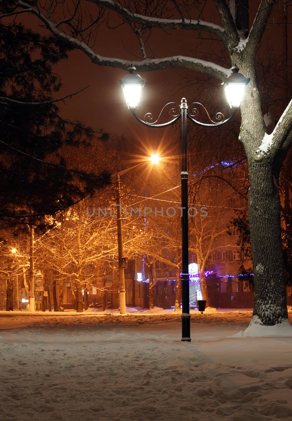 alight street lantern in a park at winter night