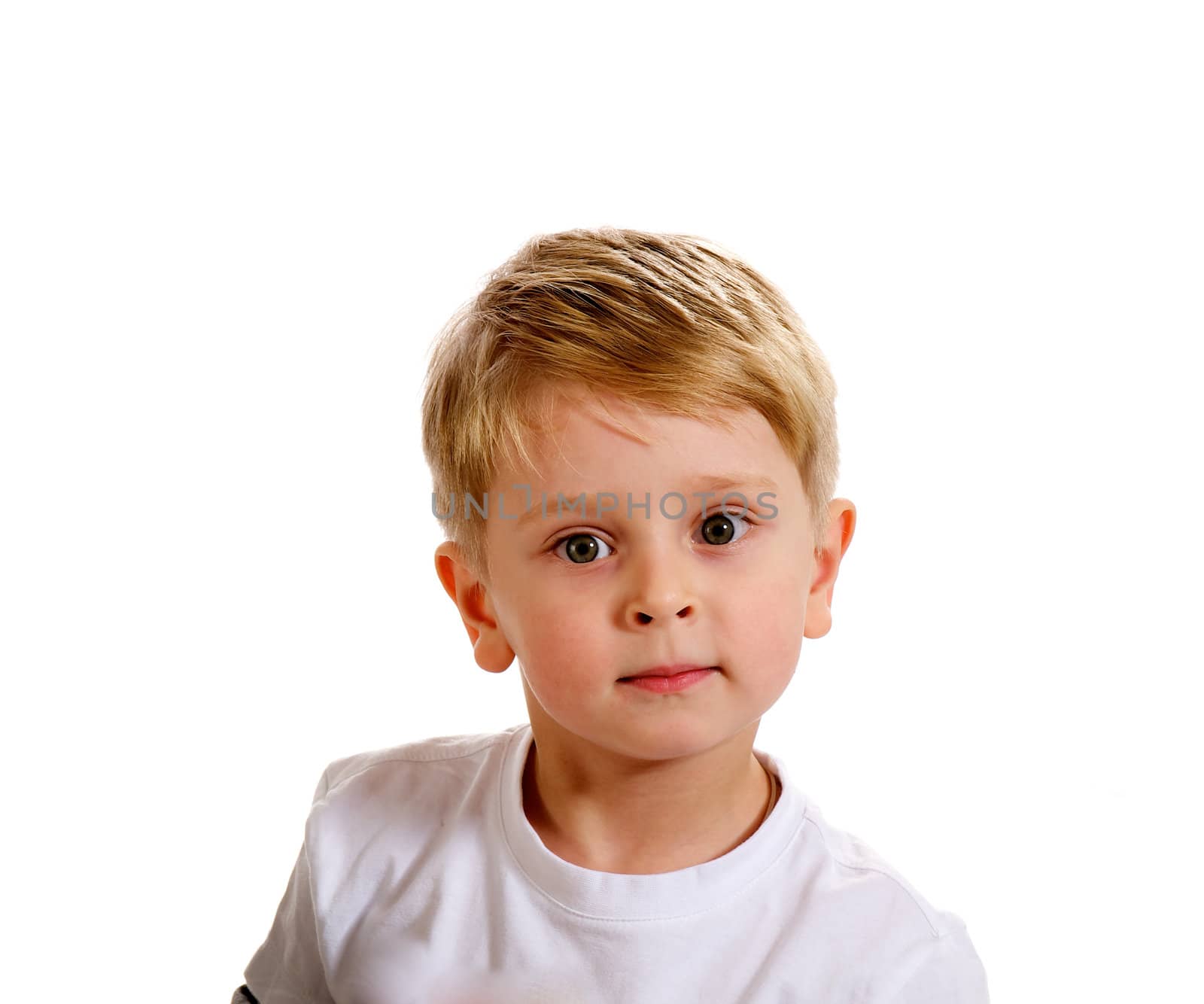 Portrait of Little Blond Boy in White T-Shirt on white background